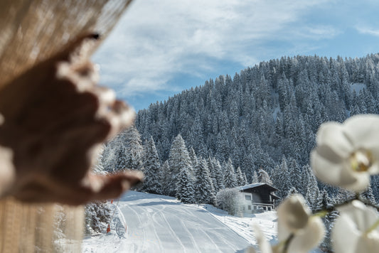 Fotografia Immobiliare e Virtual Tour - Appartamenti