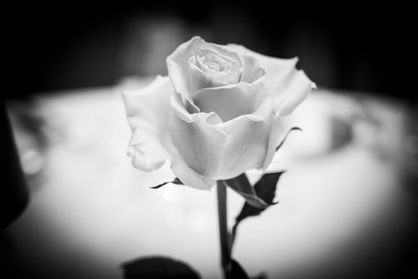 🎥 EVENTI AZIENDALI & FESTE DI TEAM